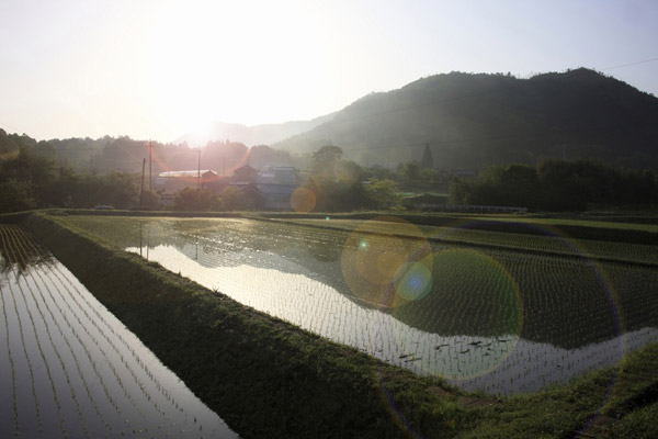 田一枚を植えたのは誰か、立ち去ったのは誰か